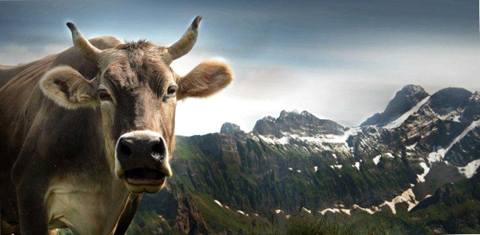 Popular: foreign currency loan in francs