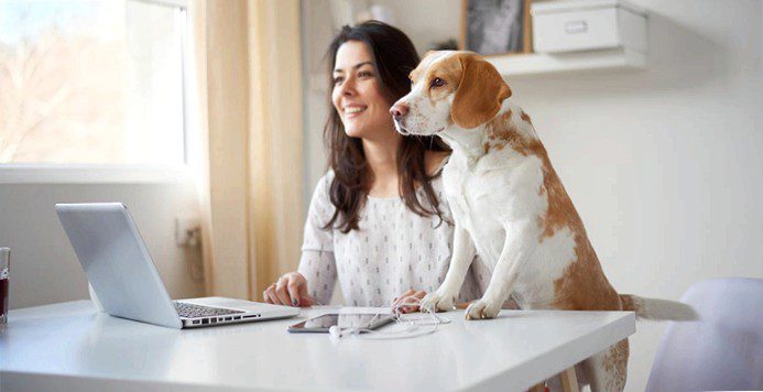 woman with dog on a laptop